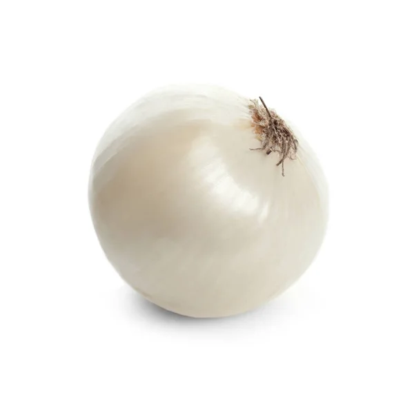 Cipolla fresca matura su sfondo bianco — Foto Stock