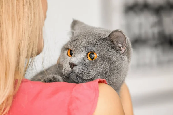 Jovem Mulher Com Gato Estimação Bonito Close — Fotografia de Stock