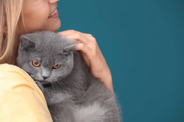 Renk arka plan üzerinde şirin evde beslenen hayvan kedi olan kadın