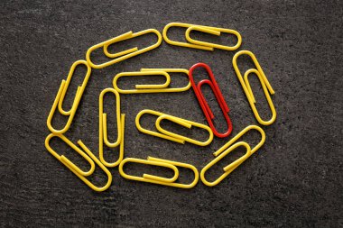 One red clip among yellow ones on gray background. Difference and uniqueness concept