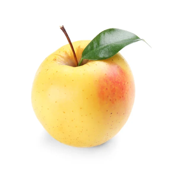 Стиглі Соковиті Яблука Білому Тлі — стокове фото