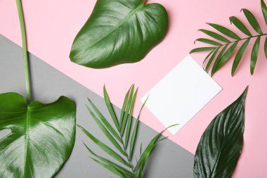 Tropikal renk arka plan üzerinde düz yatıyordu bırakır