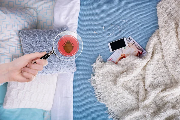 Femme Avec Loupe Détectant Punaise Lit Dans Chambre — Photo