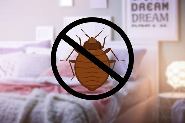 Stop Bug Sign Clean Bed Room — Stock Photo, Image