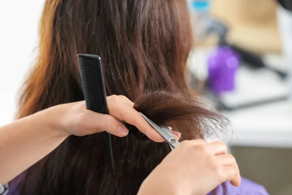 Professional hairdresser cutting client's hair in beauty salon