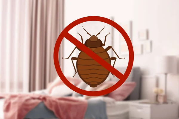 Stop Bug Sign Clean Bed Room — Stock Photo, Image