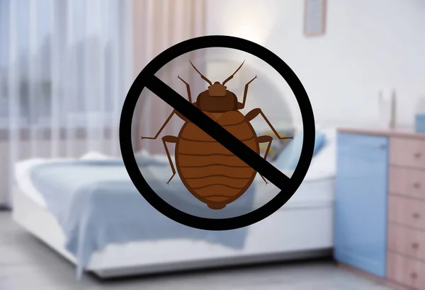 Stop Bug Sign Clean Bed Room — Stock Photo, Image