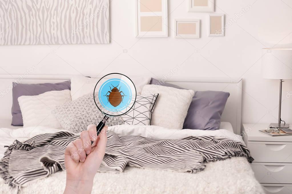 Woman with magnifying glass detecting bed bug in bedroom