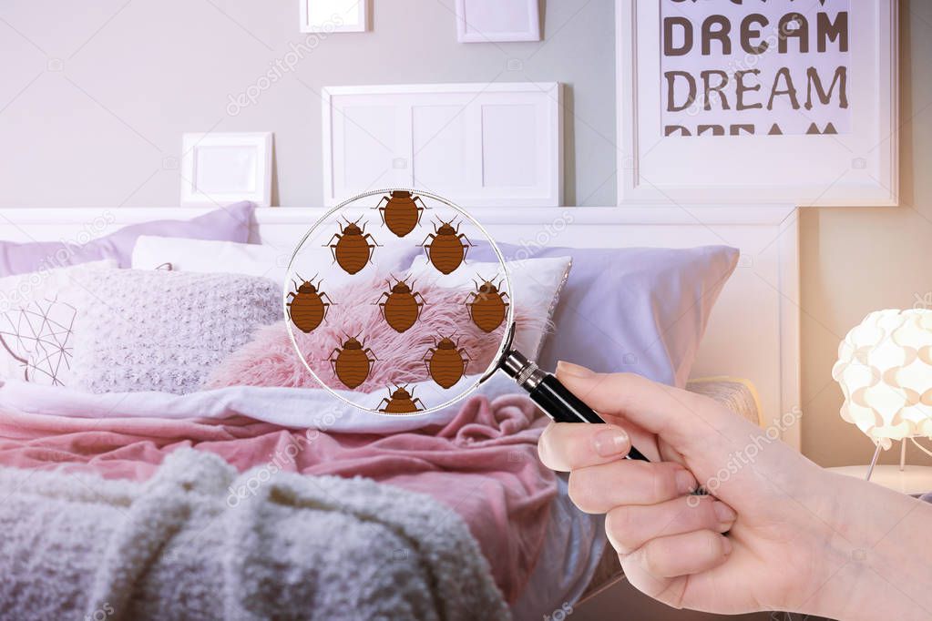 Woman with magnifying glass detecting bed bugs in bedroom