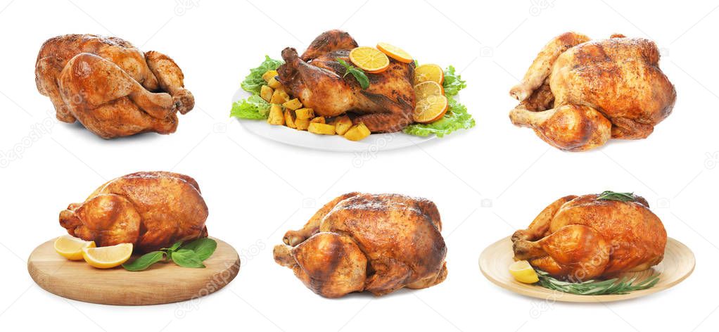Set of whole roasted chickens on white background