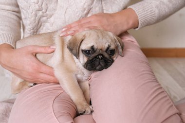 Evde, yere oturma portre sevimli pug köpek kadınla