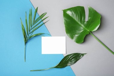 Tropikal renk arka plan üzerinde düz yatıyordu bırakır