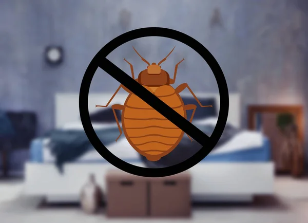 Stop Bug Sign Clean Bed Room — Stock Photo, Image