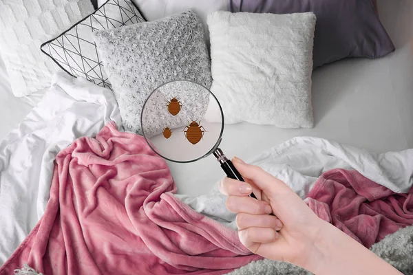 Woman with magnifying glass detecting bed bugs in bedroom