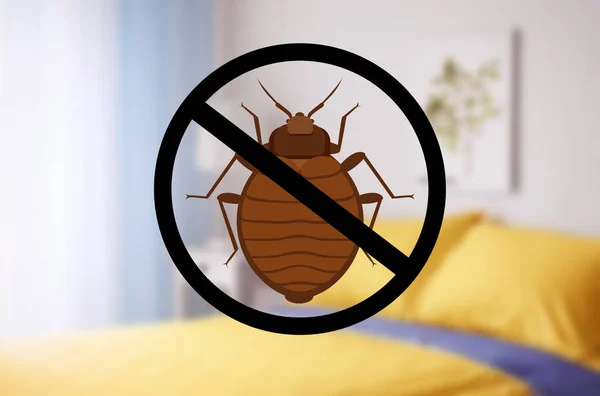 Stop Bug Sign Clean Bed Room — Stock Photo, Image