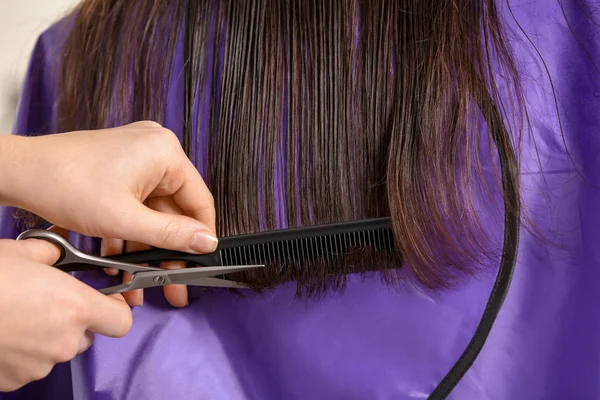 Peluquería Profesional Que Corta Cabello Del Cliente Salón Belleza —  Fotos de Stock