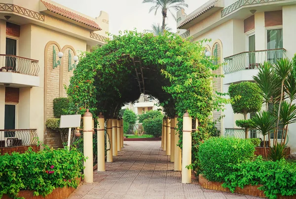 Arch with beautiful climbing plant on the territory of hotel — Stock Photo, Image