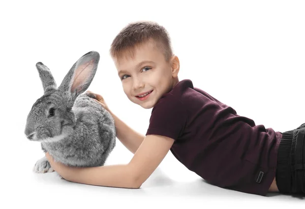 Liten pojke med bedårande kanin på vit bakgrund — Stockfoto
