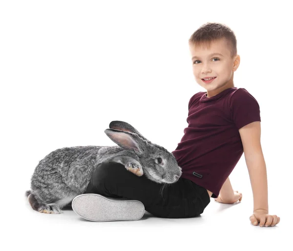 Menino com coelho adorável no fundo branco — Fotografia de Stock