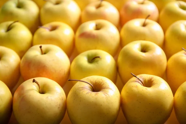 おいしい熟した黄リンゴ — ストック写真