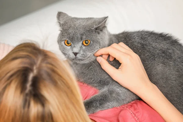 Ung kvinna med söta husdjur katt hemma — Stockfoto