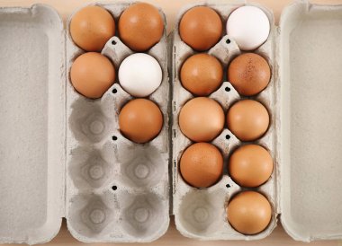 Tavuk yumurtası tablo ile paketleri