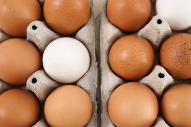 Tavuk yumurtası, closeup ile paketleri