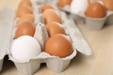 Tavuk yumurtası, closeup ile paket