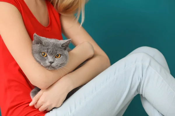 Fiatal nő, aranyos kisállat macska, Vértes — Stock Fotó
