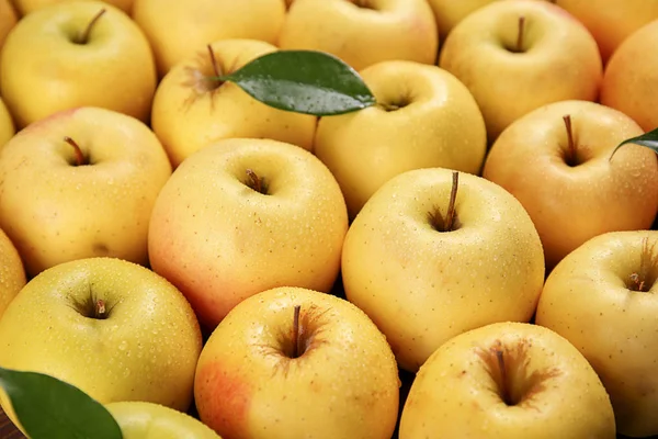 Вкусные спелые желтые яблоки — стоковое фото