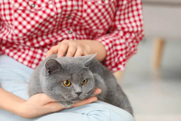 可爱的宠物猫的年轻妇女, 特写 — 图库照片