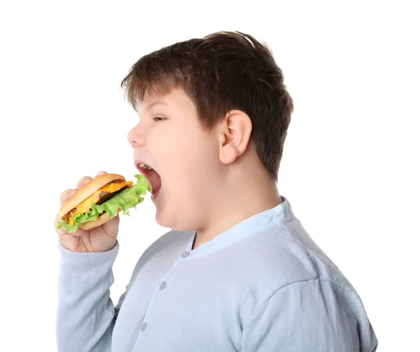 Overgewicht jongen met Hamburger op witte achtergrond — Stockfoto