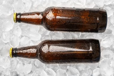 Buz üzerinde taze bira şişesi