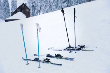 İki çift ile karlı resort kutuplarda kayakları. Kış tatili