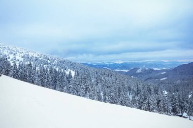 Dağlarda kış gününde güzel karlı manzara