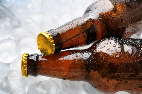 Bottles of fresh beer on ice, closeup — Stock Photo, Image