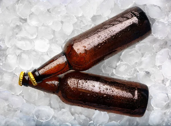 Μπουκάλια με φρέσκια μπύρα στον πάγο — Φωτογραφία Αρχείου