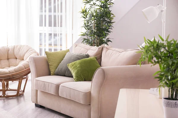 Living room interior with comfortable sofa — Stock Photo, Image