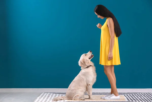 Junge Frau mit Hund drinnen. Freundschaft zwischen Haustier und Besitzer — Stockfoto