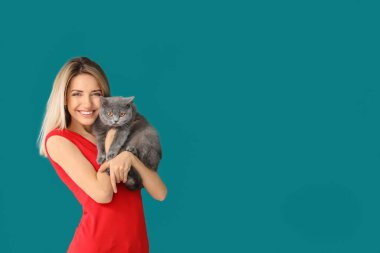 Renk arka plan üzerinde şirin evde beslenen hayvan kedi olan kadın