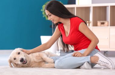 Genç kadın ile köpek kapalı. Evde beslenen hayvan ve sahibi arasındaki dostluk