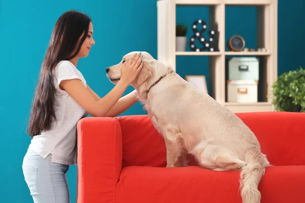 Ung Kvinna Med Hund Inomhus Vänskapen Mellan Husdjur Och Ägare — Stockfoto