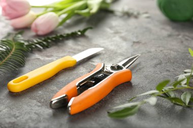 Çiçekçi ekipman gri arka plan üzerinde