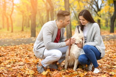 Köpek yavrusu ile güzel genç Çift  