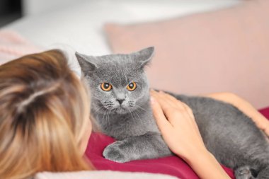 Sevimli evcil hayvan kedi, closeup olan kadın