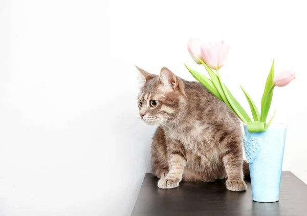 Funny overweight cat sitting near vase with flowers on table — Stock Photo, Image