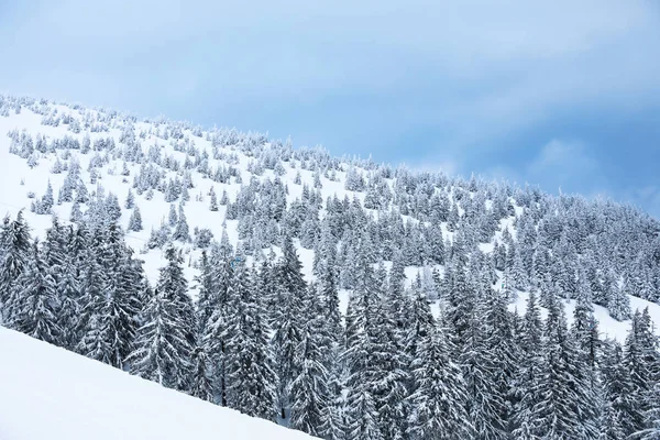 Beautiful snowy landscape in mountains on winter day — Stock Photo, Image