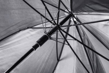 Açık siyah şemsiye, portre