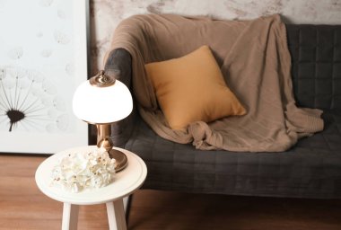 Rahat kanepe oturma odası iç