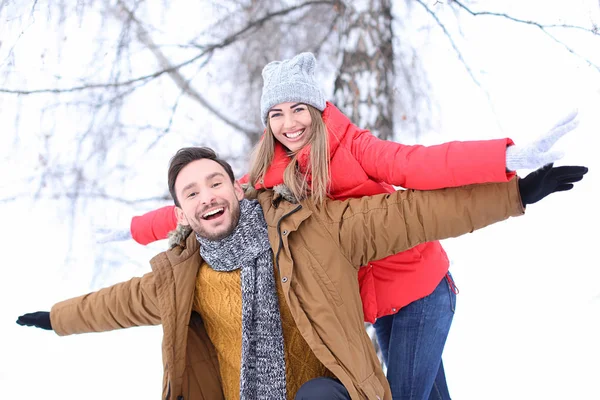 Jovem casal no parque nevado em férias de inverno — Fotografia de Stock